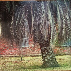 Disco de Vinilo Arcade Fire  - Suburbs Vinyl Record