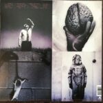 Disco de Vinilo Bad Religion - Stranger Than Fiction Vinyl Record