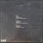 Disco de Vinilo Foo Fighters - Concrete And Gold Vinyl Record