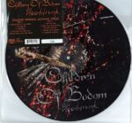 Disco de Vinilo Children Of Bodom - Blooddrunk Vinyl Record