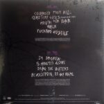 Disco de Vinilo Pantera  - History Of Hostility Vinyl Record