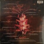 Disco de Vinilo Papa Roach - Infest Vinyl Record