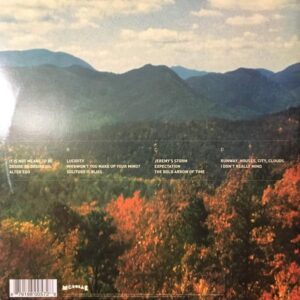 Disco de Vinilo Tame Impala  - Innerspeaker Vinyl Record
