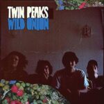 Disco de Vinilo Twin Peaks - Wild Onion Vinyl Record