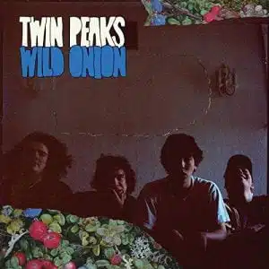 Disco de Vinilo Twin Peaks - Wild Onion Vinyl Record