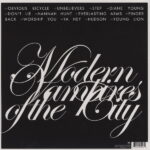 Disco de Vinilo Vampire Weekend - Modern Vampires Of The City Vinyl Record