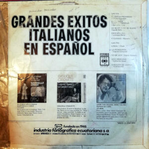 Disco de Vinilo Varios - Grandes Exitos Italianos En Español Vinyl Record