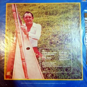 Disco de Vinilo Hugo Blanco - Bailables 12 Vinyl Record