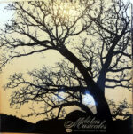 Disco de Vinilo Varios - Notas Musicales Vinyl Record