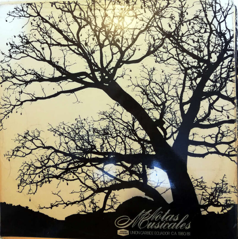 Disco de Vinilo Varios - Notas Musicales Vinyl Record