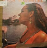 Disco de Vinilo Flor Silvestre - Flor Silvestre Vinyl Record