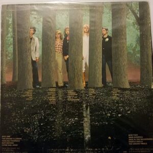 Disco de Vinilo Styx - The Grand Illusion Vinyl Record