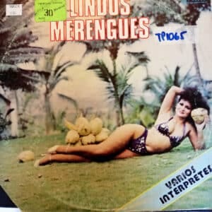 Disco de Vinilo Varios - Lindos Merengues Vinyl Record