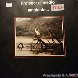 Disco de Vinilo Varios - Proteger El Medio Ambiente Vinyl Record