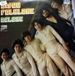 Disco de Vinilo Varios - Disco Folklore Deluxe Vinyl Record