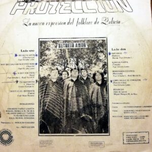 Disco de Vinilo Proyección  - Secreto Amor Vinyl Record