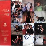 Disco de Vinilo Flans - Adios Vinyl Record