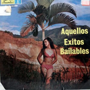 Disco de Vinilo Varios - Aquellos Éxitos Bailables Vinyl Record