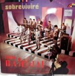 Disco de Vinilo Sonora Majestad - Sobreviviré Vinyl Record