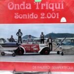 Disco de Vinilo Onda Triqui - El Cambio A La Fuerza Vinyl Record