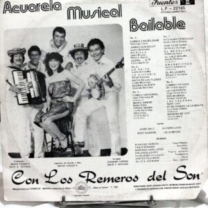Disco de Vinilo Los Remeros Del Son - Acuarela Músical Bailable Vinyl Record
