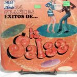 Disco de Vinilo Varios - 14 Éxitos Grandes Éxitos De La Salsa Vinyl Record