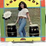 Disco de Vinilo Los Dandy - Los Dandy Vinyl Record