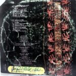 Disco de Vinilo Los Kjarkas - Los Andes…descubrió Su Rostro Milenario Vinyl Record