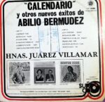 Disco de Vinilo Hermanas Juarez Villamar - Calendarios Vinyl Record