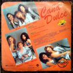 Disco de Vinilo Caña Dulce - Caña Dulce Vinyl Record
