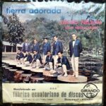 Disco de Vinilo Lucho Nelson Con La Orquesta América - Tierra Dorada Vinyl Record