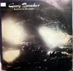 Disco de Vinilo Gary Brooker - Lead Me To The Water Vinyl Record