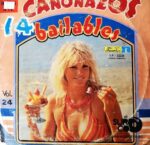 Disco de Vinilo Varios - 14 Cañonazos Bailables Vol 24 Vinyl Record