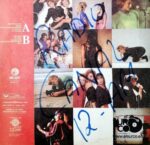Disco de Vinilo Flans - Adios (Promocional) Vinyl Record