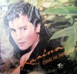 Disco de Vinilo Karina - Desde Mi Sueño Vinyl Record