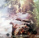 Disco de Vinilo Karina - Desde Mi Sueño Vinyl Record