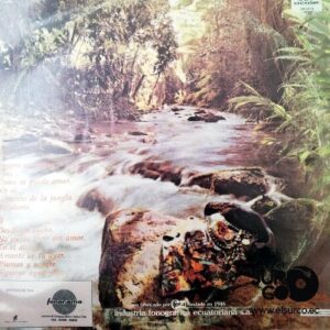 Disco de Vinilo Karina - Desde Mi Sueño Vinyl Record
