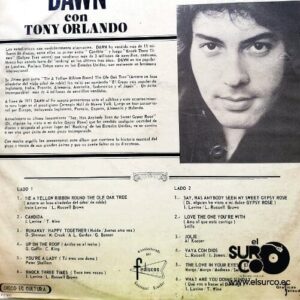 Disco de Vinilo Dawn - Tie A Yellow Ribbon Vinyl Record