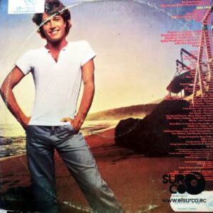Disco de Vinilo Andy Gibb - Greatest Hits Vinyl Record