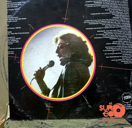 Disco de Vinilo Karen Young - Hot Shot Vinyl Record