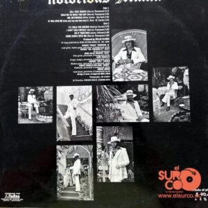 Disco de Vinilo Notorious Miami - Notorious Miami Vinyl Record