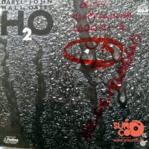 Disco de Vinilo Daryl Hall – H2O Vinyl Record