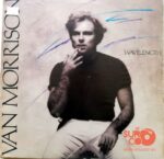 Disco de Vinilo Van Morrison - Wavelength Vinyl Record