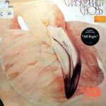 Disco de Vinilo Christopher Cross - Another Page Vinyl Record