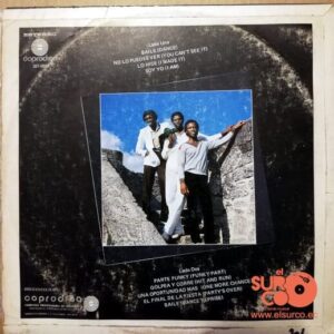Disco de Vinilo Silver Platinum - Silver Platinun Vinyl Record