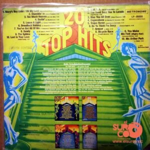Disco de Vinilo Varios - 20 Top Hits Vol 17 Vinyl Record