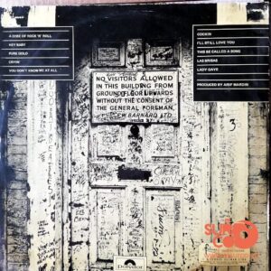Disco de Vinilo Ringo Starr - Ringo's Rotogravure Vinyl Record