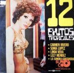 Disco de Vinilo Varios - 12 Éxitos Tropicales Vinyl Record