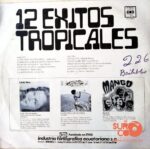 Disco de Vinilo Varios - 12 Éxitos Tropicales Vinyl Record