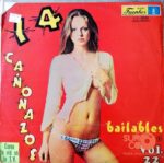 Disco de Vinilo Varios - 14 Cañonazos Bailables Vol 22 Vinyl Record